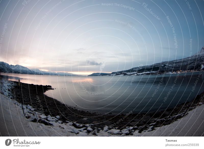 Who needs the Sunshine? Landscape Winter Snow Coast Lakeside Bay Fjord Loneliness Cold Colour photo Exterior shot Deserted Twilight Light Shadow Contrast