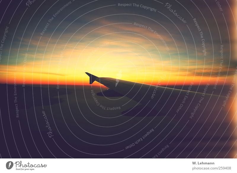 No title Aviation Vacation & Travel Pilot Altimeter Airplane Perspective Colour photo Exterior shot Experimental Deserted Twilight Long shot