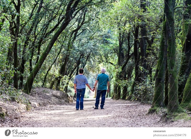 Retired couple walking together on the path of a forest Lifestyle Happy Beautiful Healthy Far-off places Retirement Human being Masculine Feminine Woman Adults