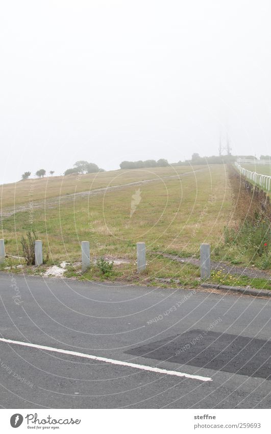 misty Landscape Autumn Winter Fog Tree Meadow Hill Street Colour photo Subdued colour Exterior shot