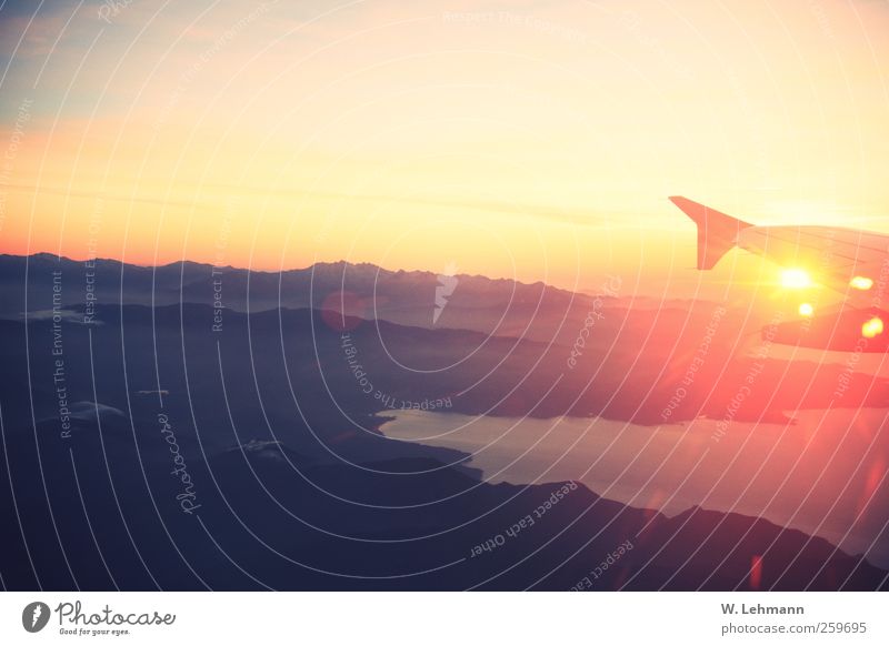 Goodbye Corsica! Aviation Mountain Means of transport Airplane Passenger plane Yellow Gold Gray corsica Colour photo Exterior shot Experimental Deserted