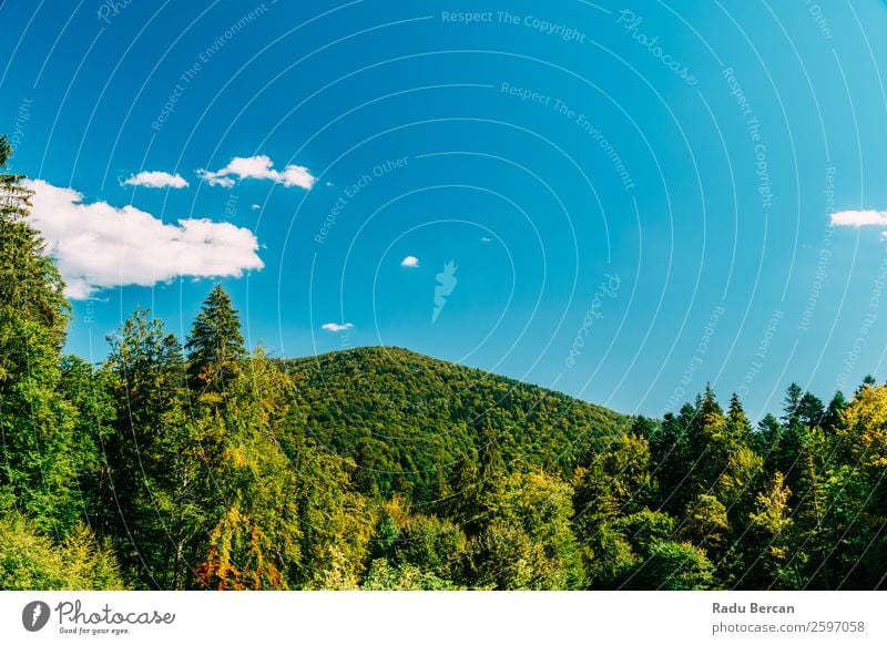 Beautiful Carpathian Mountains Summer Landscape In Romania carpathian Nature scenery Forest Panorama (Format) Sky Carpathians Green Vantage point