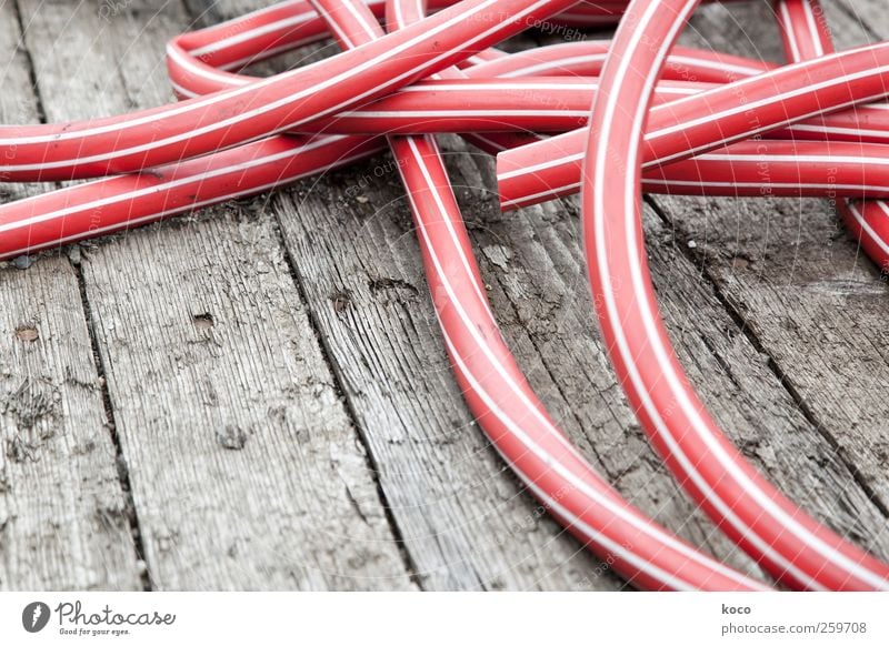 Water, march! Hose Garden hose Wood Plastic Line Network Lie Simple Dry Brown Red White Colour Colour photo Close-up Deserted Copy Space left Day