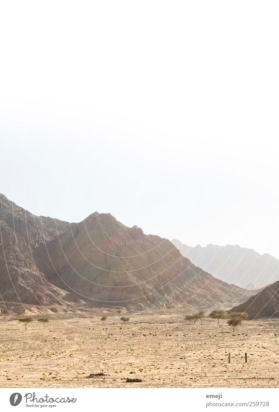 arid Nature Landscape Sun Sunlight Warmth Drought Hill Rock Mountain Desert Dry Yellow Sunbeam Sand Colour photo Exterior shot Deserted Copy Space top Day Light