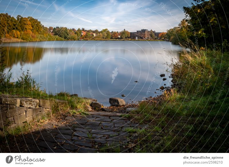 autumn atmosphere in autumn Environment Nature Landscape Plant Air Water Sky Autumn Weather Beautiful weather Tree Grass Bushes Wild plant Forest Mountain Harz