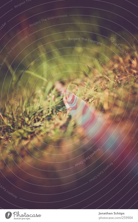 Barrier Tape I Environment Nature Grass Meadow Green Red White Divide Flat Worm's-eye view Music festival Retro Colours Warn Line Border Close Summer