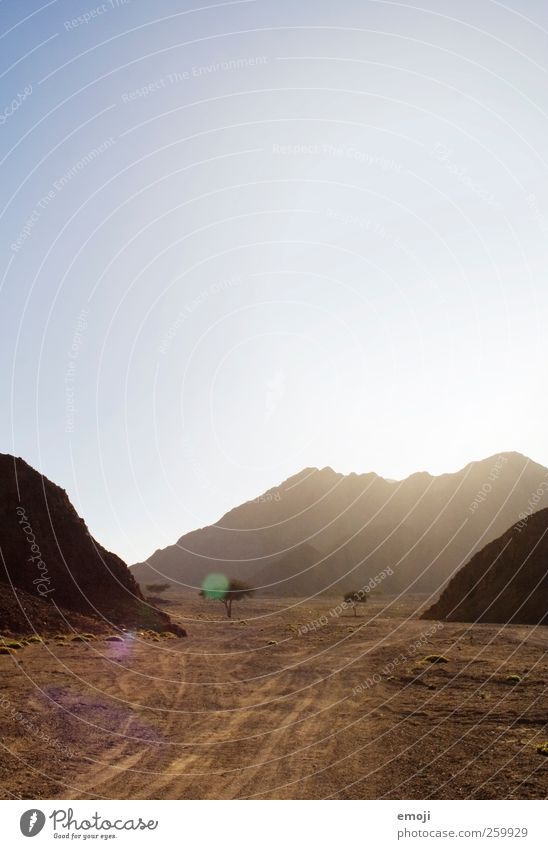 in threes Sky Summer Warmth Drought Tree Rock Mountain Desert Dry Sparse 3 Loneliness Sand Colour photo Exterior shot Deserted Copy Space top Day Sunlight