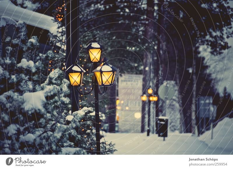 old shining lantern in winter landscape for christmas Environment Nature Weather Snow Happiness Anticipation Vacation & Travel Stagnating Moody Tradition Dream