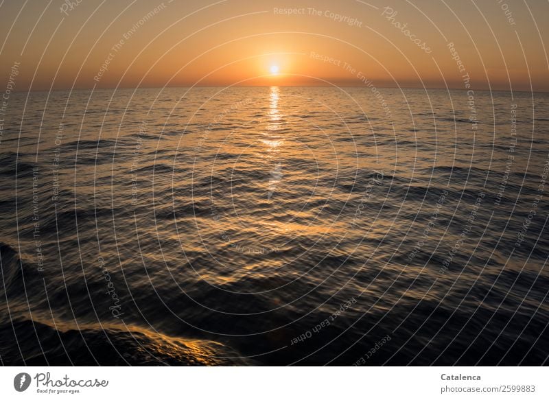 The sun sets over the sea Nature Landscape Elements Water Cloudless sky Horizon Sunrise Sunset Summer Beautiful weather Waves Ocean Mediterranean sea Movement