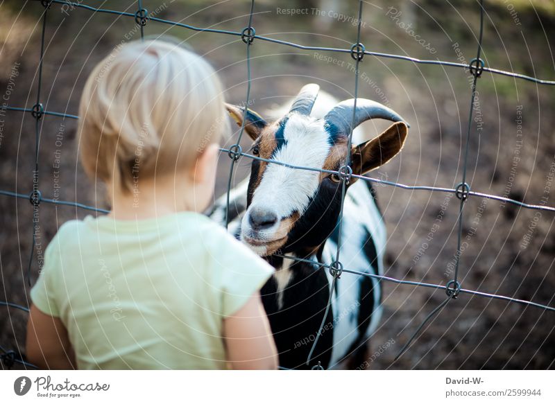 who's curious? Lifestyle Harmonious Well-being Contentment Senses Human being Child Toddler Girl Boy (child) Infancy 1 1 - 3 years Animal Observe Curiosity Cute