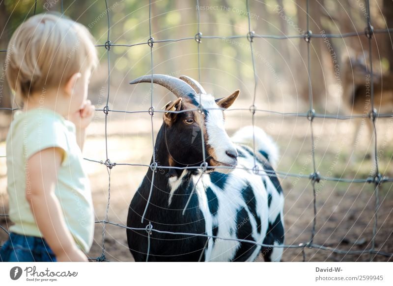 What's that? Parenting Human being Masculine Child Toddler Girl Boy (child) Infancy Life 1 1 - 3 years Nature Summer Autumn Beautiful weather Animal Observe