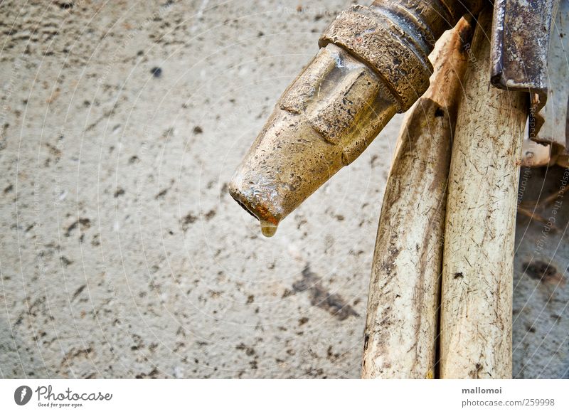 dripping leaking old water hose Hose Garden hose Brown Gold Gray Syringe Dripping Drops of water Gardening incontinent leaky 50 plus Sign of old age Water