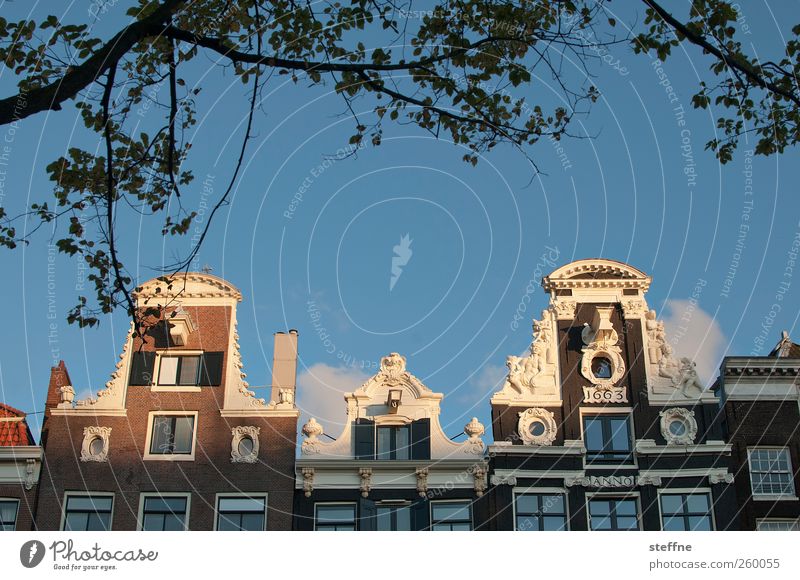 sunny Sky Sun Sunlight Beautiful weather Tree Amsterdam Netherlands Capital city Old town House (Residential Structure) Dream house Architecture Facade Gable