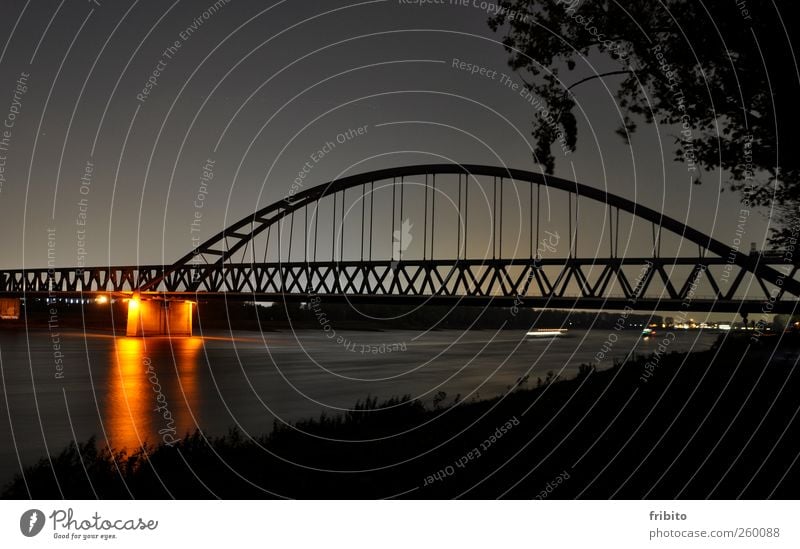 The Rhine City trip Architecture Landscape Animal Elements Water Sky Night sky Bushes River bank Duesseldorf Town Bridge Manmade structures Train travel