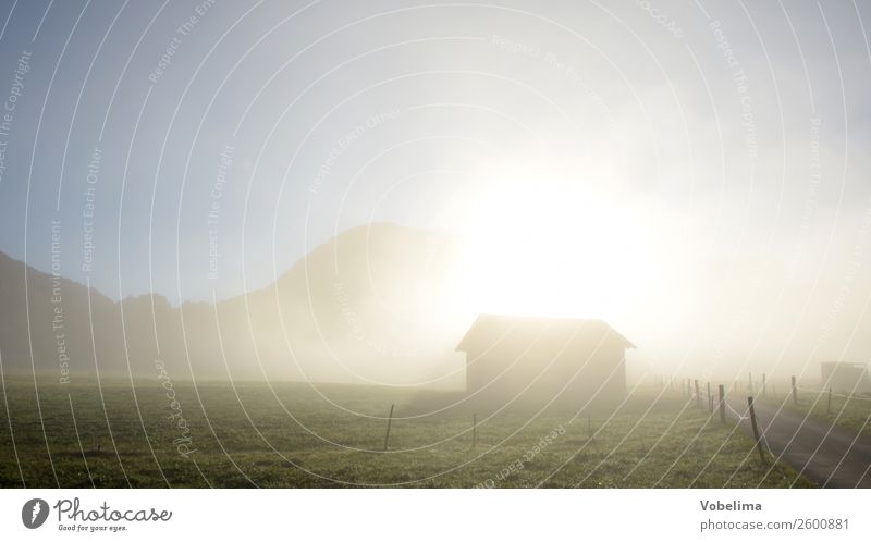 Cottage in the morning fog Landscape Sky Sun Sunlight Weather Fog Alps Mountain Blue Brown Gray Green White bizau Bezau Kanisfluh Vorarlberg Forest of Bregenz