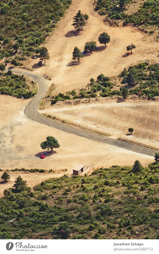 Overview of the Environment Nature Landscape Plant Beautiful weather Southern France Perspective Bird's-eye view Tree Bleak Car Diminutive Miniature