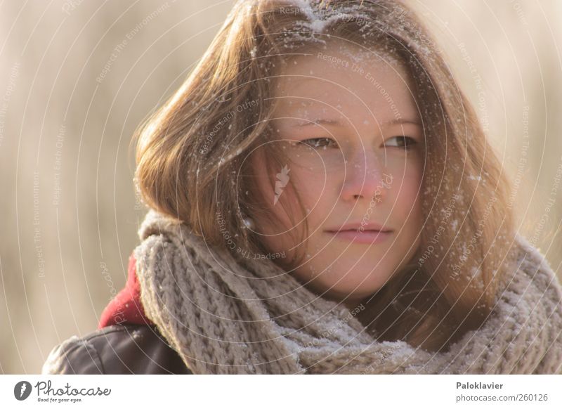 Ice cold snow Feminine Young woman Youth (Young adults) Sister 1 Human being Winter Snow Leather Scarf Brunette Long-haired To enjoy Looking Beautiful Cold