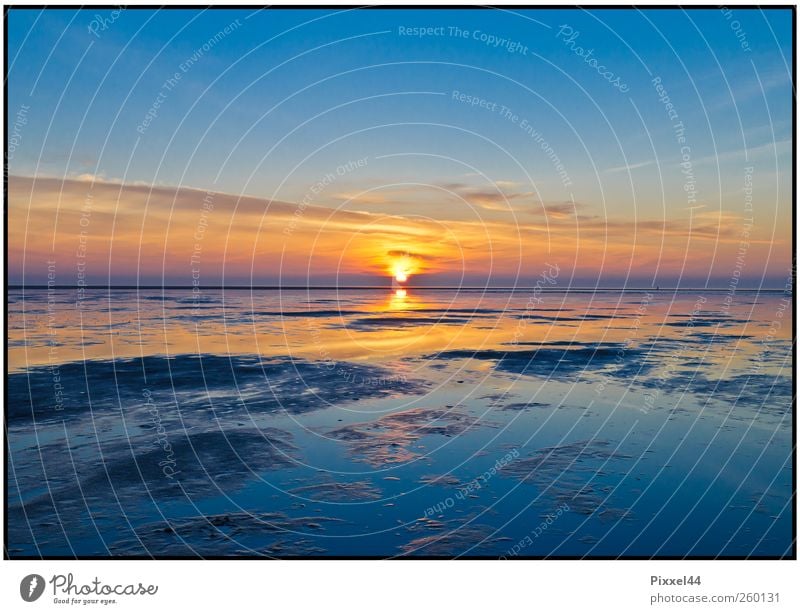 Evening atmosphere by the sea Landscape Water Sky Sunrise Sunset Beautiful weather Coast North Sea Westerhever Germany Europe Breathe Observe Relaxation