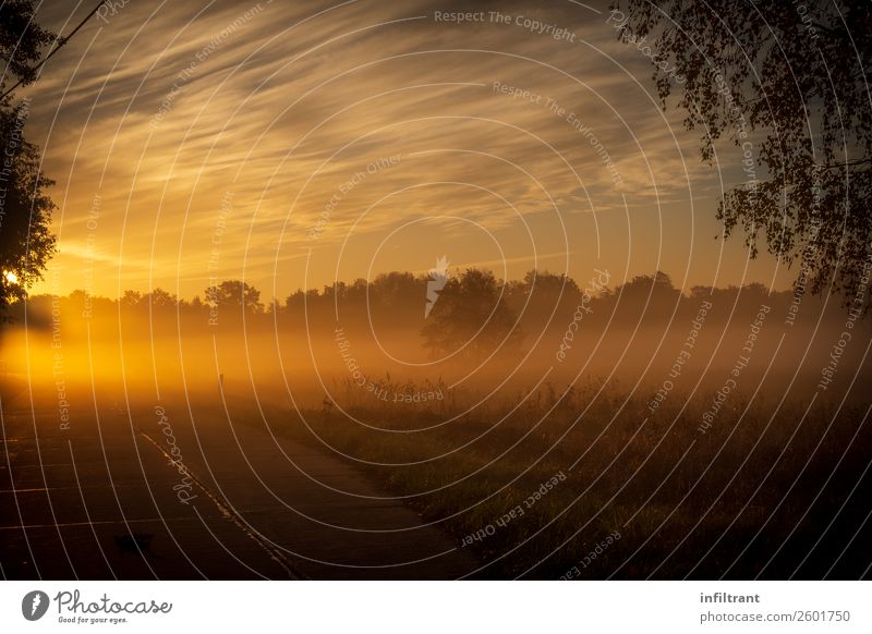 morning fog Environment Nature Landscape Sky Clouds Sun Sunrise Sunset Autumn Fog Meadow Esthetic Natural Brown Yellow Orange Moody Calm Humble Dream Loneliness