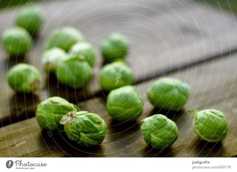 cabbage Food Vegetable Nutrition Organic produce Vegetarian diet Wood Small Round Green Colour photo Exterior shot