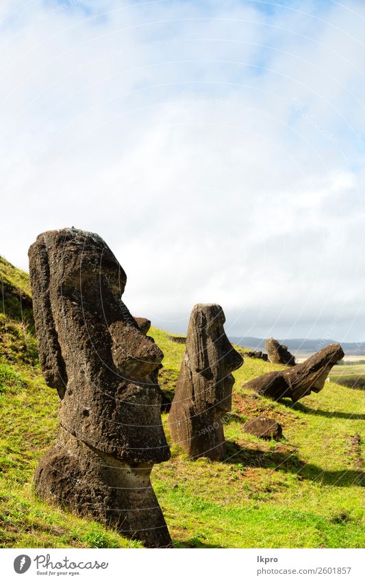 mysteriuos muai statue symbol of an ancien culture Face Vacation & Travel Island Easter Art Culture Nature Park Rock Monument Stone Historic Mysterious