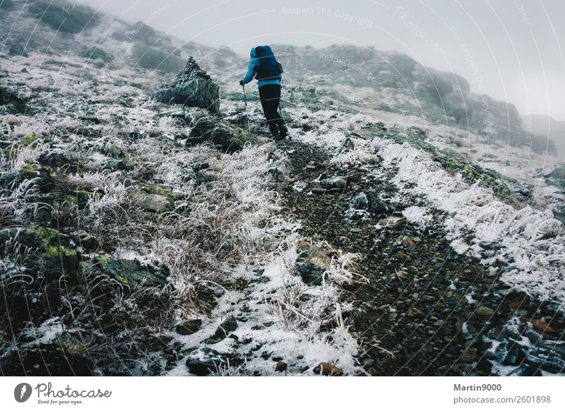 Hiking and first snow Winter Snow Mountain Nature Landscape Earth Clouds Autumn Weather Wind Ice Frost Relaxation Walking Infinity Gray Black White Contentment