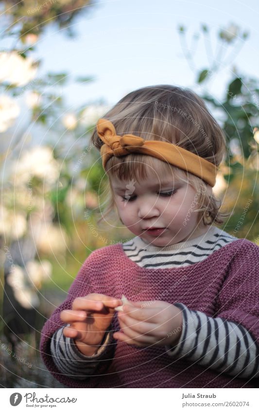 Rose bed girl headband Feminine Toddler Girl 1 Human being 1 - 3 years Nature Summer Autumn Beautiful weather Garden Sweater Knitted sweater Striped sweater