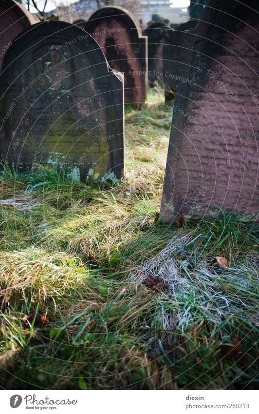 Frost on the graves Sunlight Winter Weather Ice Grass Worms Tourist Attraction Stone Characters Old Authentic Cold Belief Humble Sadness Grief Death