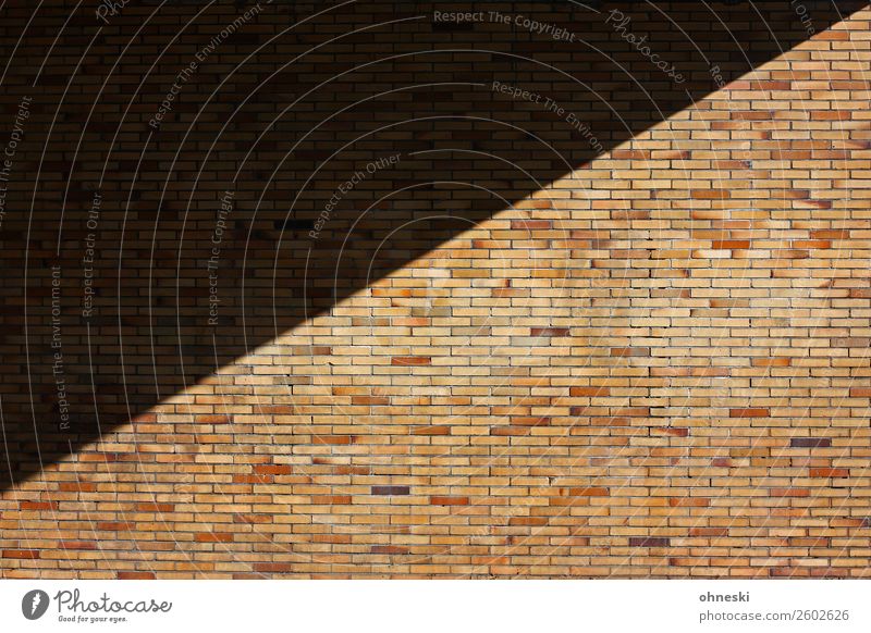 wall Bridge Tunnel Manmade structures Architecture Wall (barrier) Wall (building) Facade Esthetic Arrangement Colour photo Exterior shot Abstract Pattern