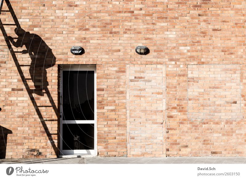 Shadow of a craftsman on a ladder Home improvement House (Residential Structure) Redecorate Work and employment Profession Craftsperson Construction site