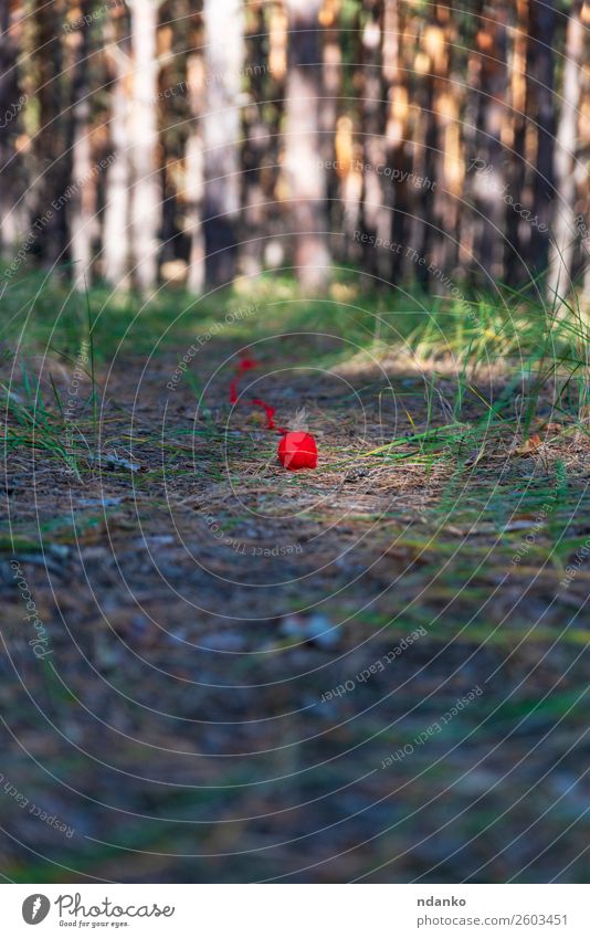 unwound small red ball of wool yarn Knit Rope Nature Landscape Tree Grass Forest String Movement Green Red Moody Colour Vacation & Travel Idea thread Wool trunk