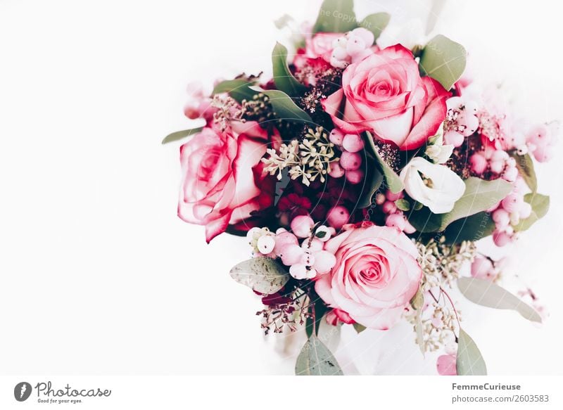 Extract bridal bouquet from above Plant Love Bouquet Flower Wedding Decoration Rose Pink Colour photo Interior shot Studio shot Copy Space left Copy Space top