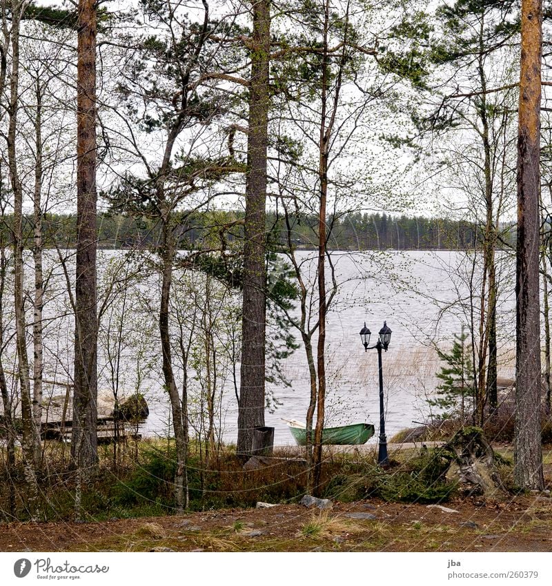 Finnish rainy day Harmonious Swimming & Bathing Fishing (Angle) Vacation & Travel Tourism Summer Beach Waves Nature Plant Water Clouds Bad weather Rain Fir tree