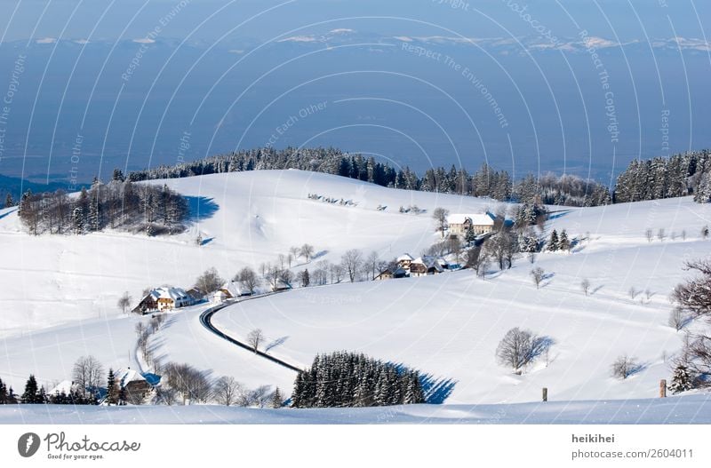 View from Schauinsland near Freiburg / Alpine view Vacation & Travel Tourism Trip Adventure Far-off places Freedom Sightseeing Winter Snow Winter vacation