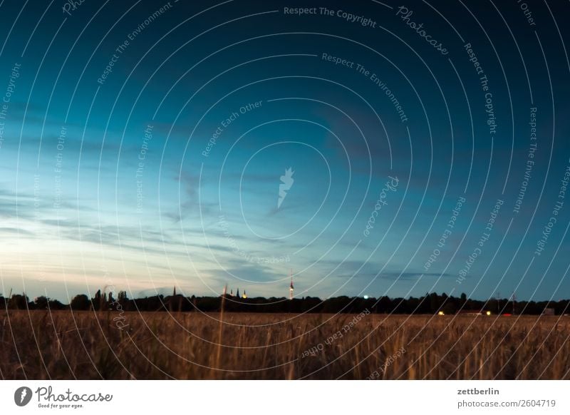 Television tower on the horizon Dusk Berlin Twilight Play of colours Closing time Far-off places Airport Airfield Sky Heaven Horizon Deserted Romance