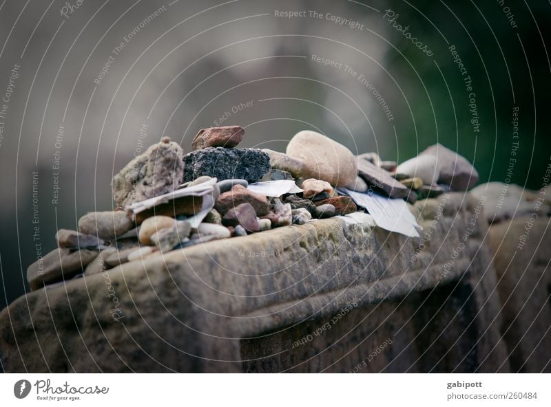 Letters to the dead Cemetery Paper Piece of paper Stone Sign Characters Digits and numbers Ornament Old Compassion To console Calm Hope Sadness Grief Death Pain