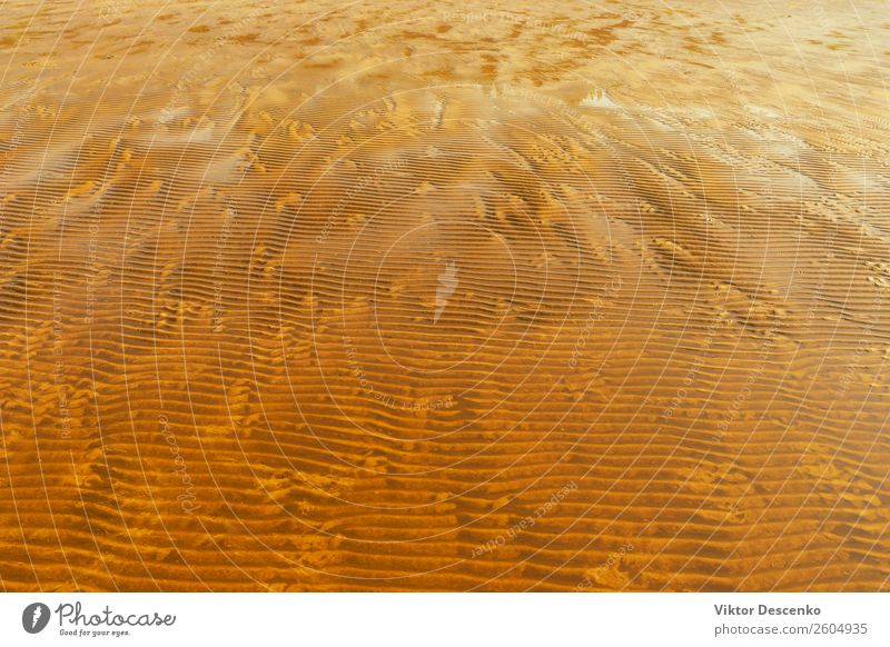 Sandy beach at low tide in autumn Summer Beach Ocean Waves Autumn Weather Wind Coast Movement Moody water Consistency Low Tide Afternoon dump Hazy panorama