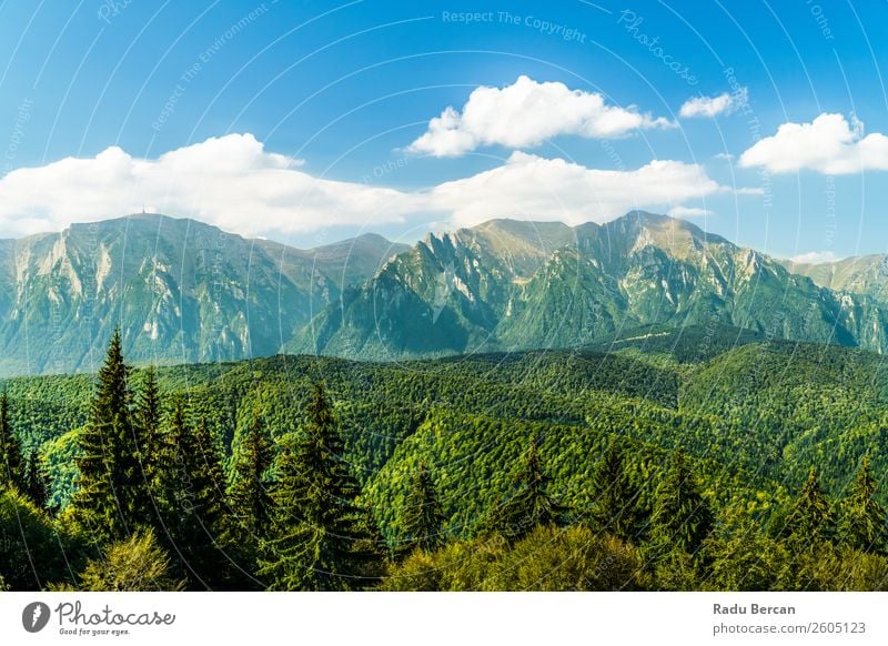 Carpathian Mountains Landscape In Romania carpathian Beautiful Nature scenery Forest Panorama (Format) Sky Carpathians Green Vantage point Vacation & Travel