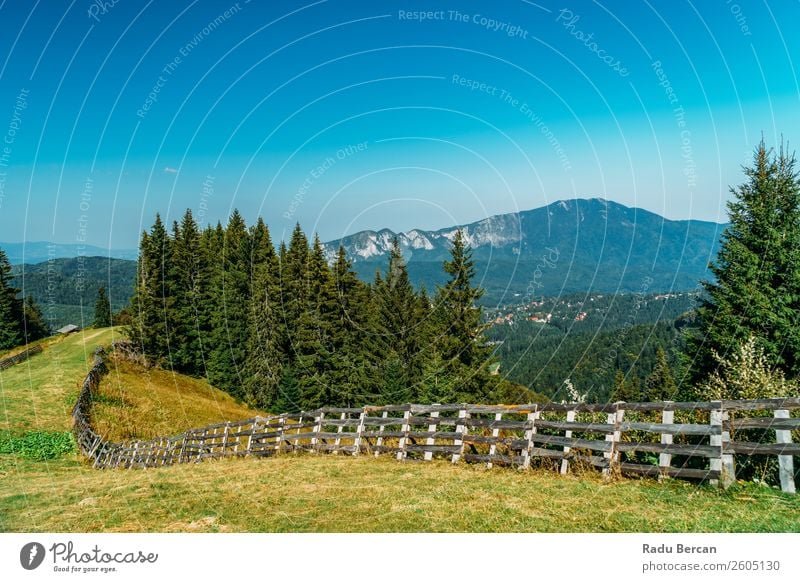 Carpathian Mountains Landscape In Romania carpathian Beautiful Nature scenery Forest Panorama (Format) Sky Carpathians Green Vantage point Vacation & Travel