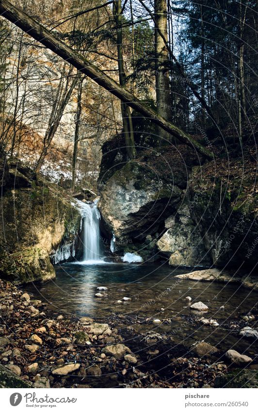 natural Environment Nature Landscape Water Forest Brook Waterfall Calm Colour photo Exterior shot Day Deep depth of field Wide angle