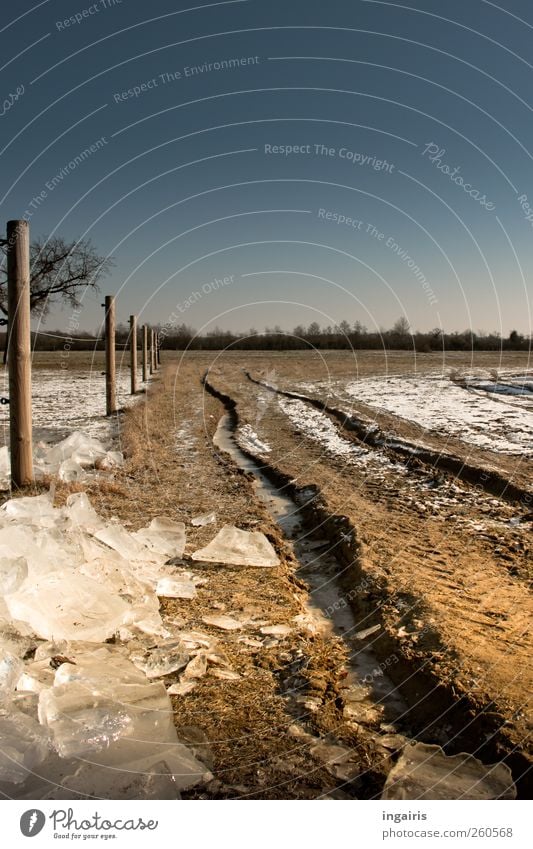 ice age Environment Nature Earth Sand Water Cloudless sky Horizon Sunlight Winter Climate Climate change Weather Beautiful weather Ice Frost Snow Grass Field