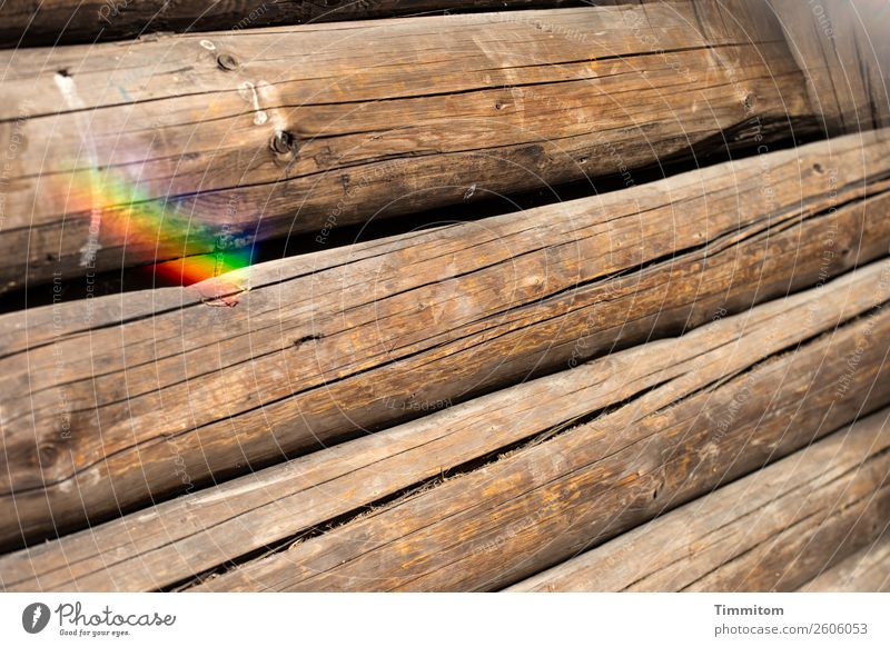 Log cabin, partial view Wooden hut Wall (barrier) Wall (building) Tree trunk Simple Brown Emotions Curiosity Prism Prismatic colour Crack & Rip & Tear