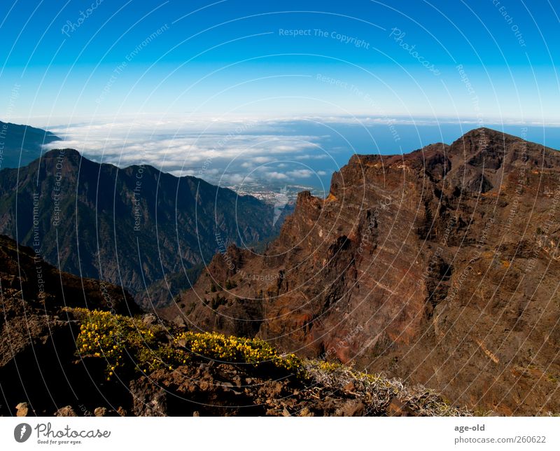 Oh, could I fly now... Adventure Far-off places Climbing Mountaineering Environment Nature Landscape Plant Sunlight Summer Beautiful weather Volcanic crater