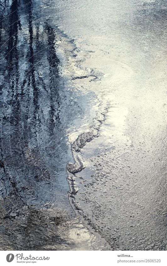 Trees reflected in frozen pond Water Winter Ice Frost Pond Lake Change Thaw Aggregate state Colour photo Exterior shot Reflection