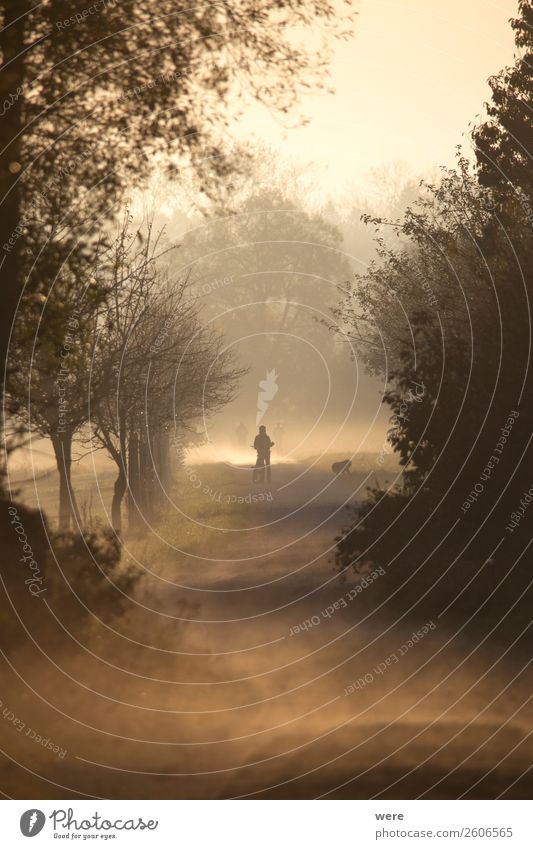 Hikers come out of the morning mist Human being 1 Nature Relaxation Fitness hiker sunbeams copy space dust field Glitter haze hiking landscape lane light misty