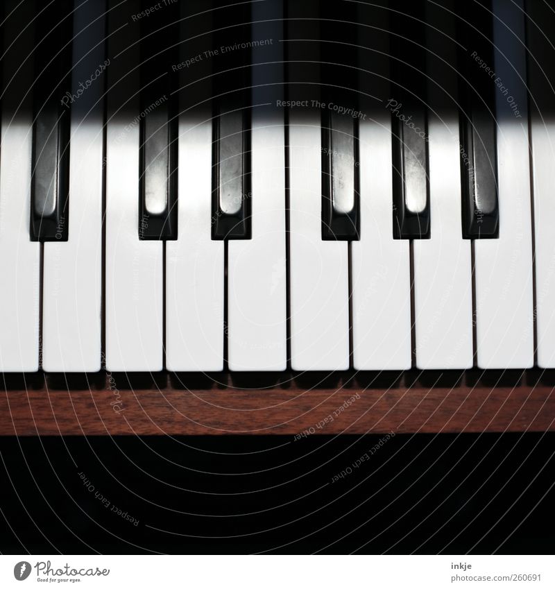 keyboard Leisure and hobbies Make music Music Piano Keyboard Tone octave Brown Black White Emotions Moody Virtuous Passion Self Control Diligent Disciplined