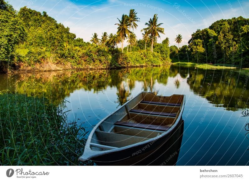 I want you to leave this place wonderfully quiet. Vacation & Travel Tourism Trip Adventure Far-off places Freedom Nature Landscape Tree Bushes Palm tree