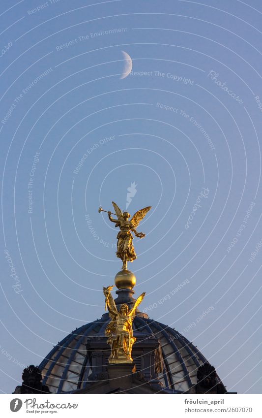 little night music Cloudless sky Moon Germany Saxony Town Downtown Manmade structures Architecture Tourist Attraction Landmark Monument