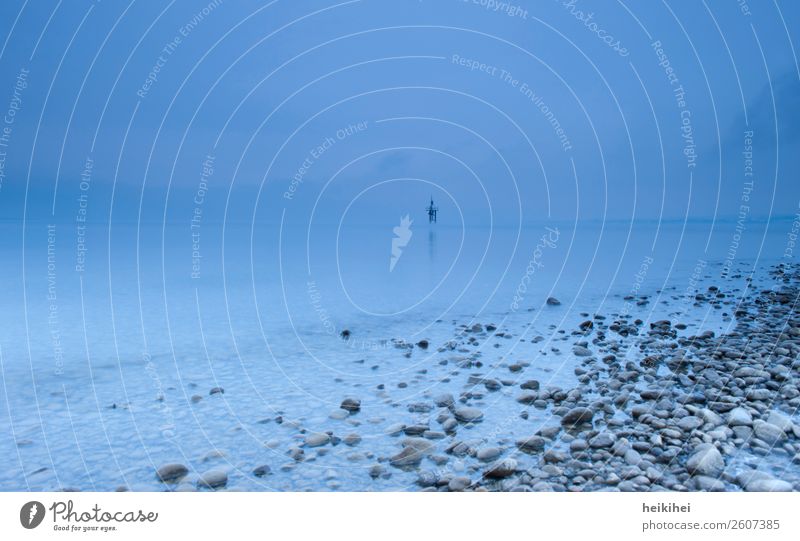 Blue hour at Lake Constance Vacation & Travel Tourism Trip Far-off places Freedom Cycling tour Summer Summer vacation Nature Landscape Water Sky Cloudless sky