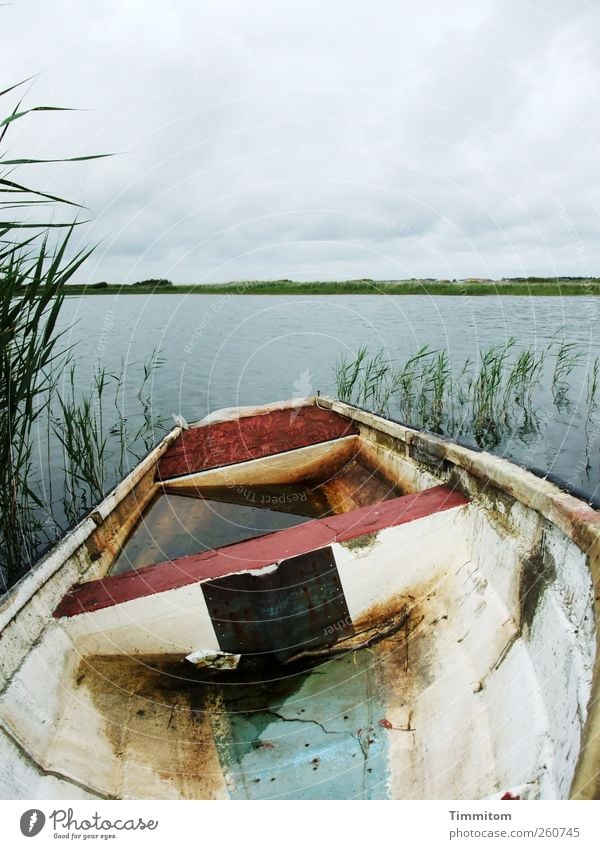 You just have to be confident! Environment Nature Water Sky Clouds Summer Lakeside Denmark Watercraft Looking Wait Broken Wet Gray Green White Decline Insecure